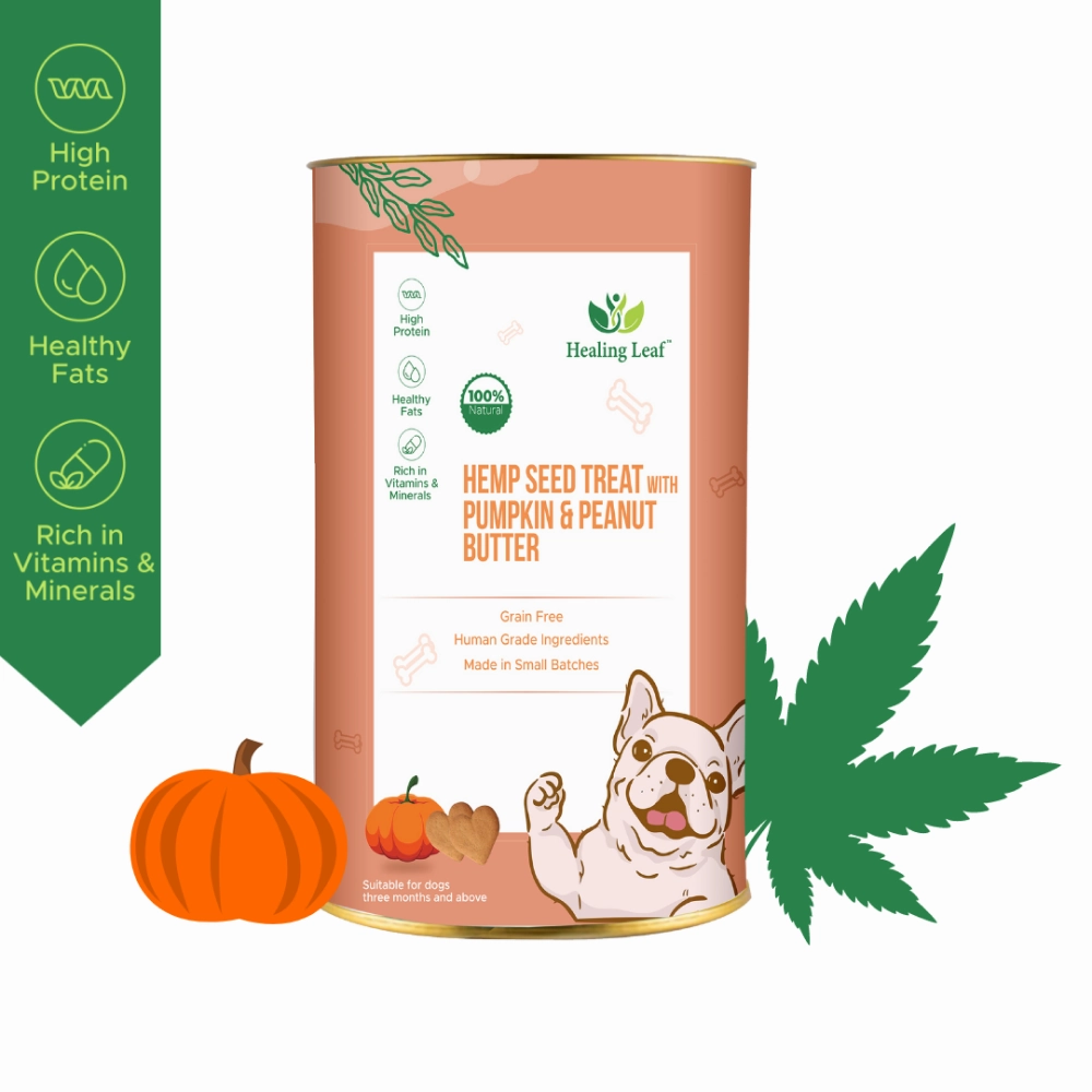 Healing Leaf Hemp Pumpkin Treats and Skatrs Treat Hider Toy Combo for Dogs