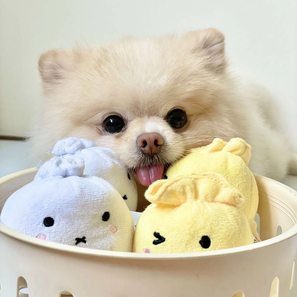Hey Cuzzies Dimsum Mochi Plush Dog Toys