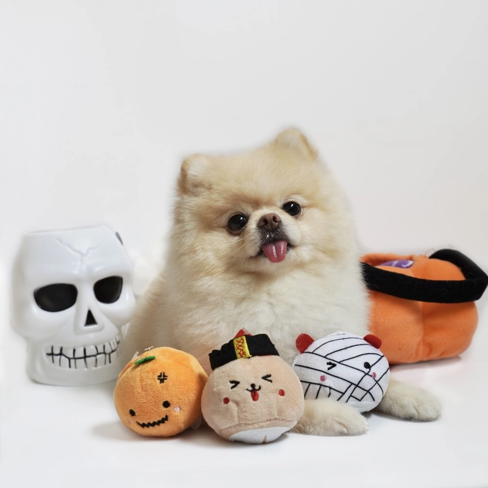Hey Cuzzies Mini Spooky Mochi Halloween Dog Toy