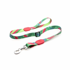HiDream Profusion Adjustable Dog Leash (Watermelon) grain free dog food natural dog biscuits high protein dog food dog food pack dog meat sticks
