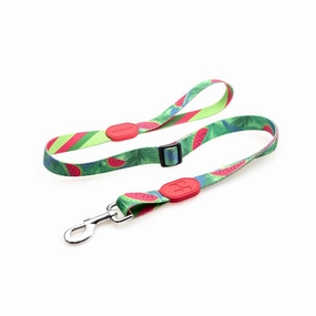 HiDream Profusion Adjustable Dog Leash (Watermelon) dog bones rawhide chew sticks dog jerky bacon bone