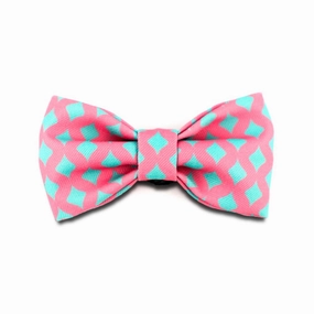 HiDREAM Profusion Bowtie for Cats & Dogs (Bobby) dog harness dog training collar dog safety vest dog seatbelt dog ID tag