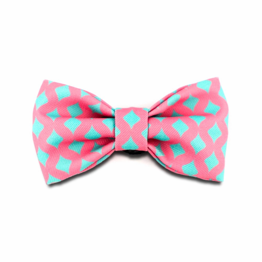 HiDREAM Profusion Bowtie for Cats & Dogs (Bobby) dog harness dog training collar dog safety vest dog seatbelt dog ID tag