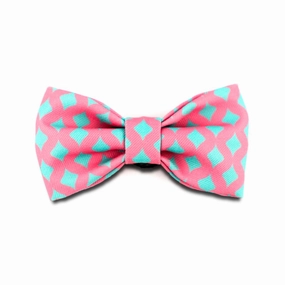 HiDREAM Profusion Bowtie for Cats & Dogs (Bobby) cat accessories cat collar cat harness cat backpack cat ID tag