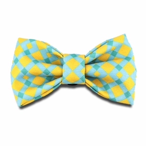 HiDREAM Profusion Bowtie for Cats & Dogs (Sunrise) dog bones rawhide chew sticks dog jerky bacon bone