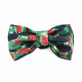 HiDREAM Profusion Bowtie for Cats & Dogs (Watermelon) cat leash cat bowtie cat hat cat bandana cat costume