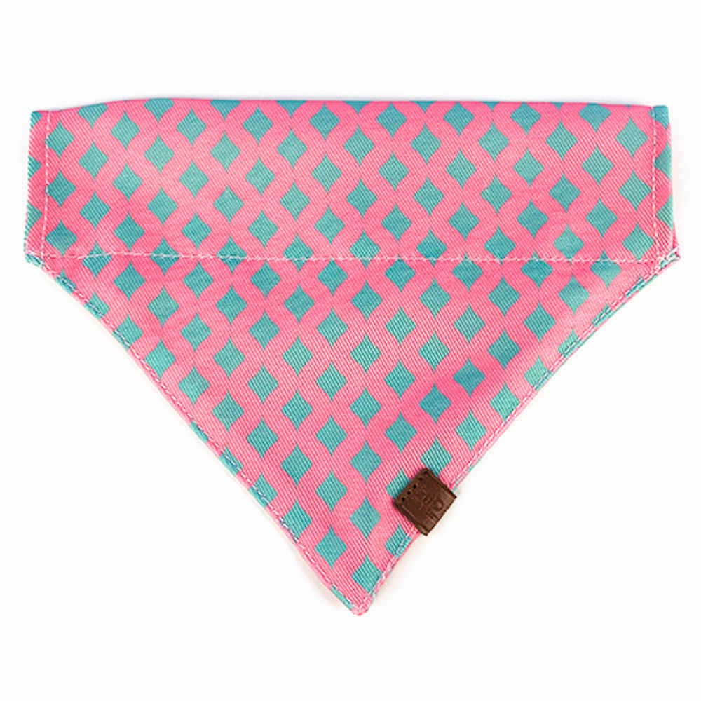 Hidream Profusion Dog & Cat Bandana (Bobby) cat accessories cat collar cat harness cat backpack cat ID tag