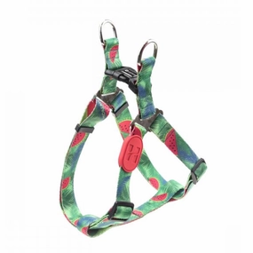 HiDream Profusion Dog Y-Harness (Watermelon) dog bones rawhide chew sticks dog jerky bacon bone