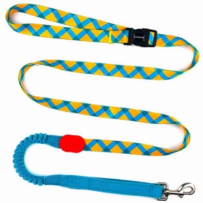 HiDREAM Profusion Multifunctional Dog Leash (Sunrise) dog harness dog training collar dog safety vest dog seatbelt dog ID tag