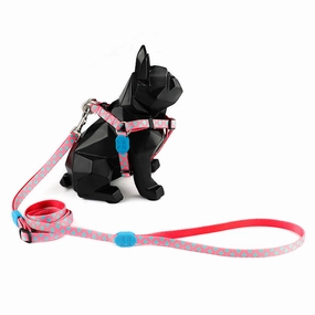 Hidream Profusion Y-Harness & Leash Set For Dogs (Bobby) XS dog harness dog training collar dog safety vest dog seatbelt dog ID tag