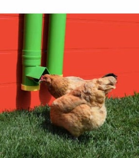 High End Hen Poultry Feeder puppy accessories new puppy gear puppy bed puppy blanket puppy grooming kit