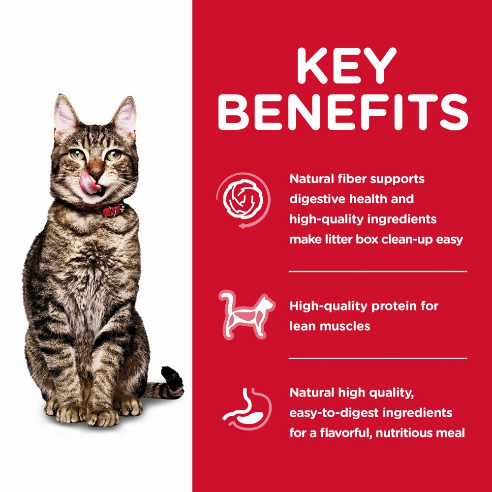 Hill's Science Diet Adult 7  Indoor Chicken Recipe Dry Cat Food