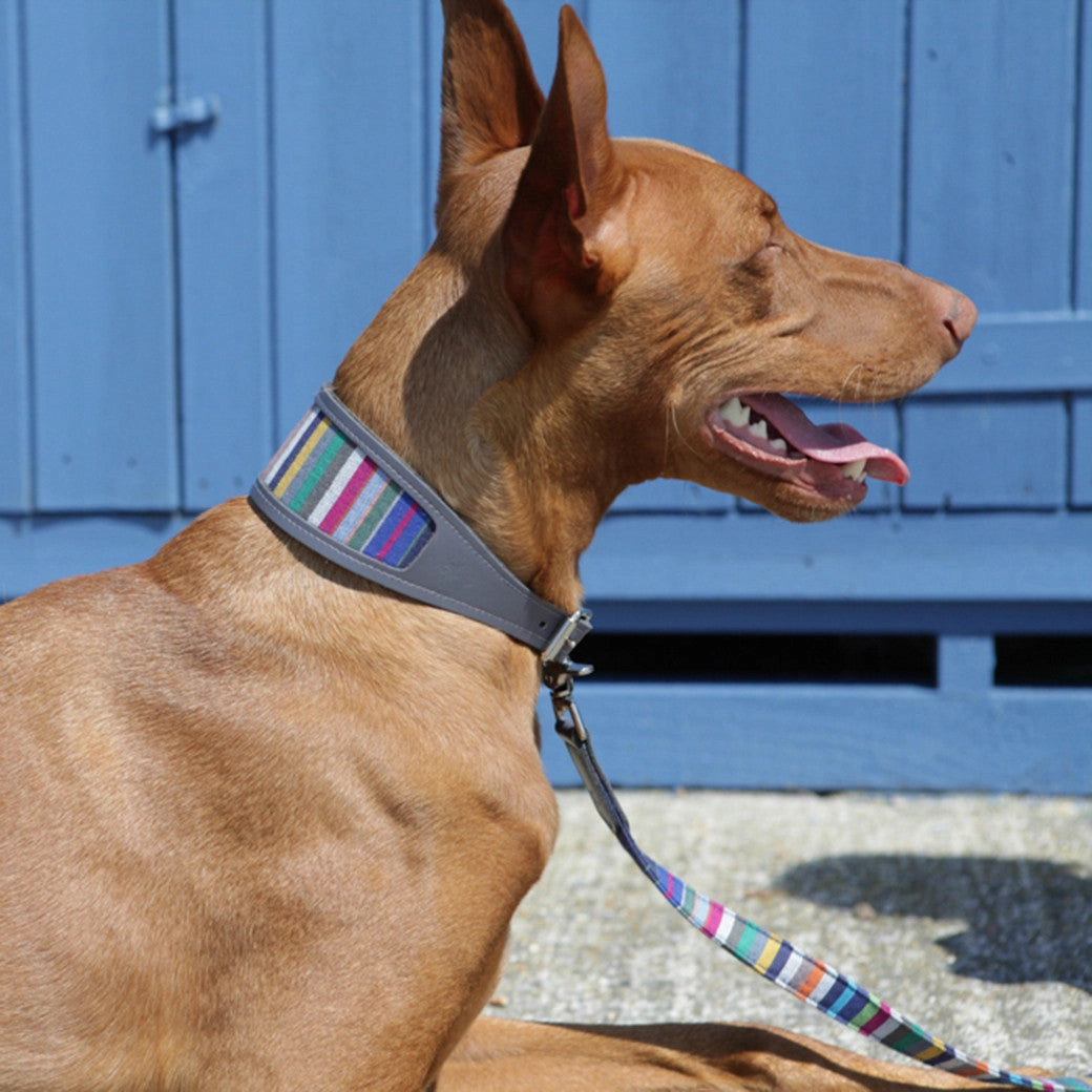 Hiro Wolf Classic leash: Marine Stripe Kikoy