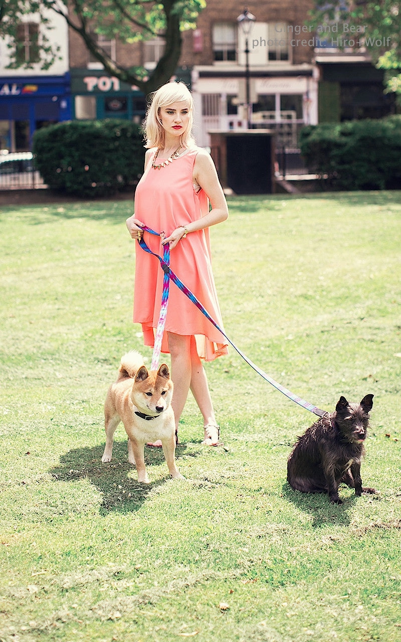 Hiro Wolf Hands-free leash: Masai Blue Check