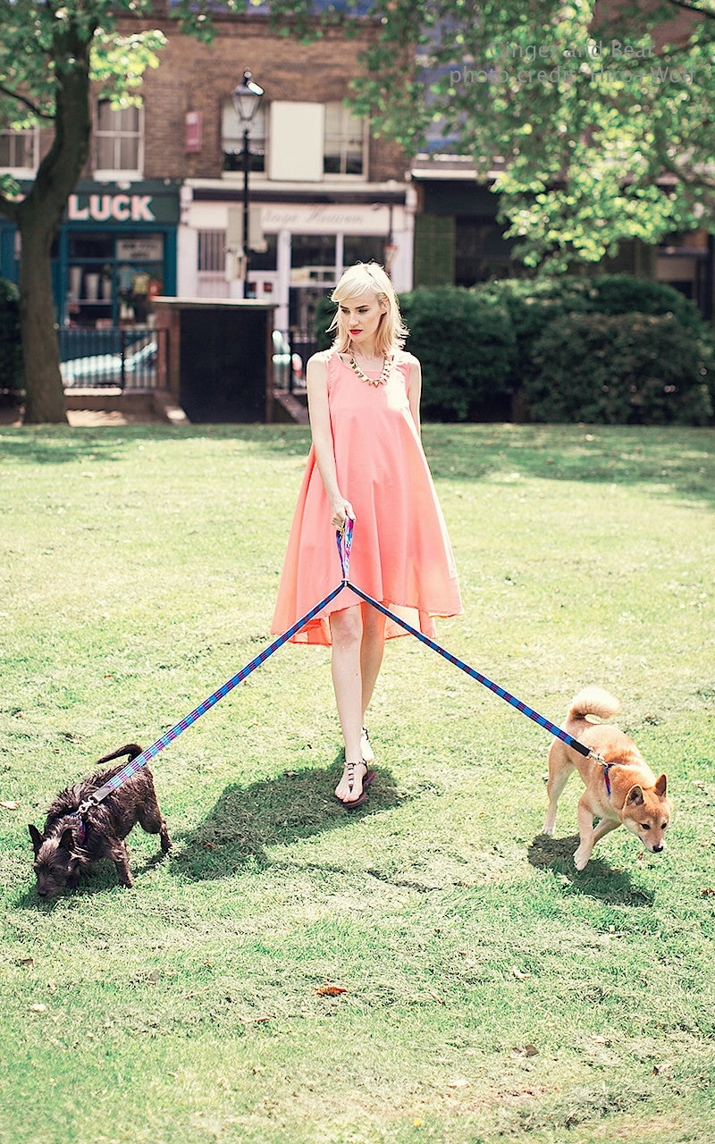 Hiro Wolf Hands-free leash: Masai Blue Check