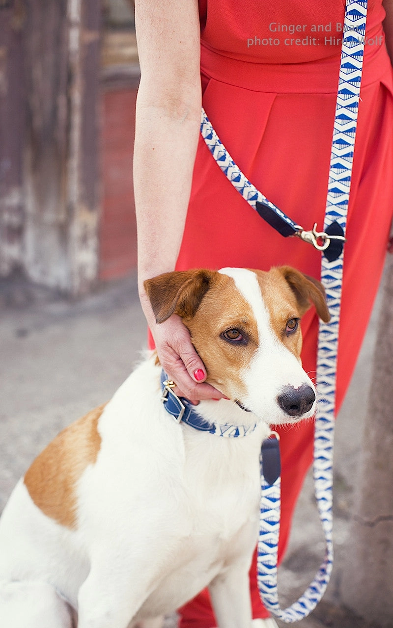 Hiro Wolf Hands-free leash: Masai Blue Check