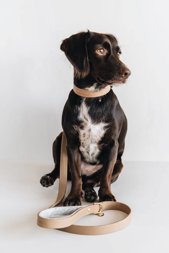 Hitch, Short Leather Dog Leash