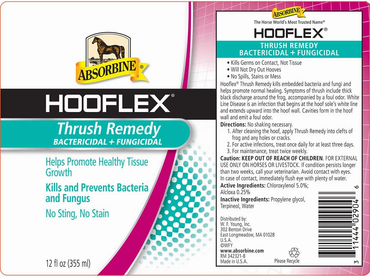 Hooflex Thrush Remedy, 12 oz