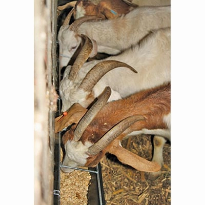 Hook-Over Trough, 9 qt