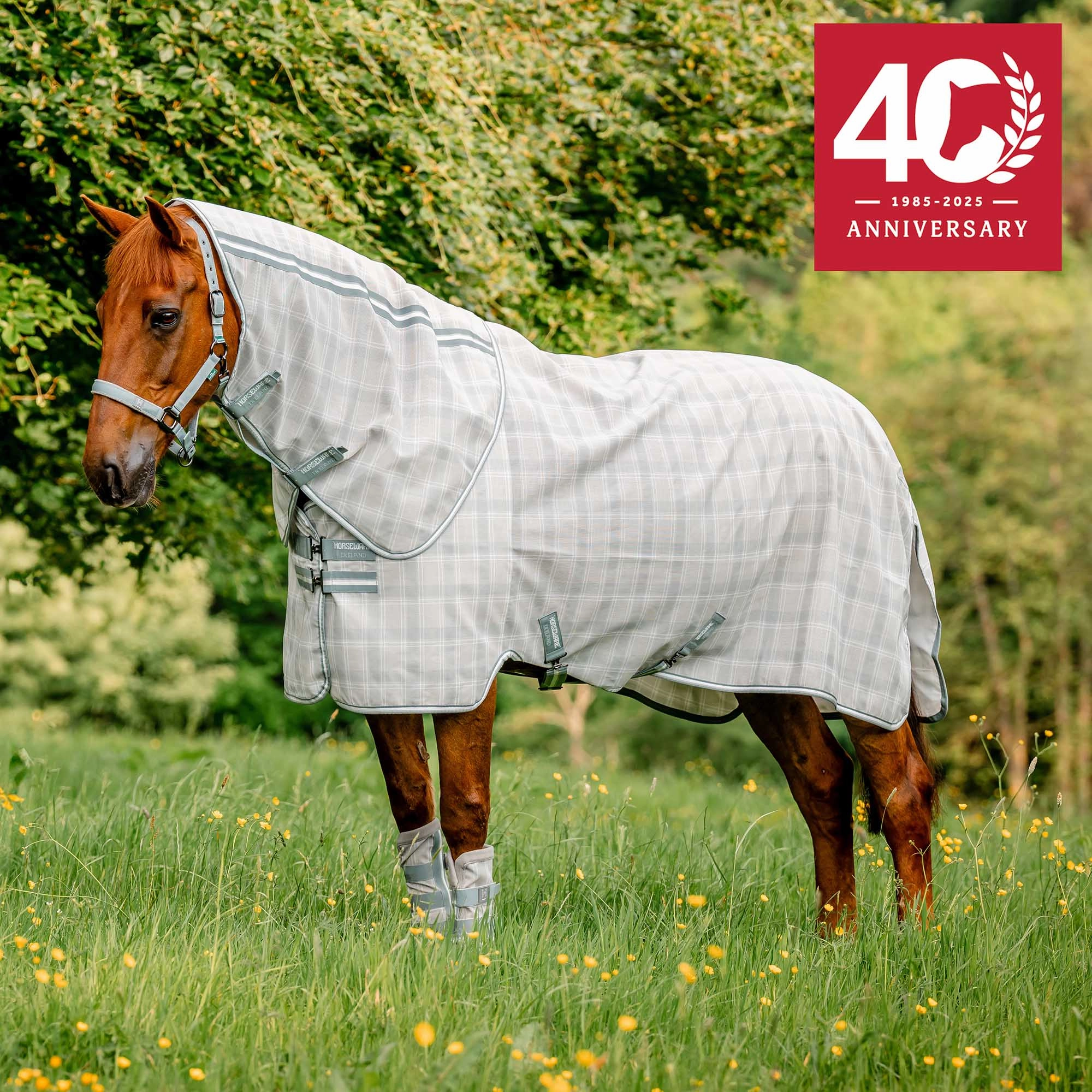 Horseware Newmarket Plus Fly Sheet