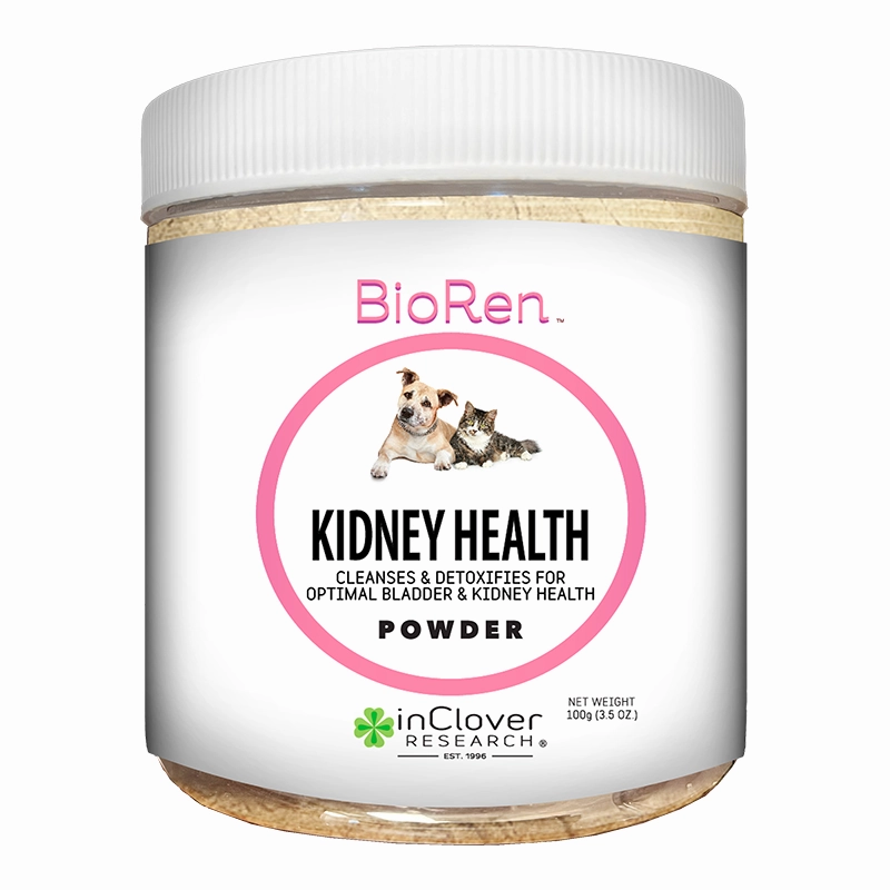 In Clover BioRen - Kidney Health for Dogs & Cats 100g Powder/3.5oz pig feed piglet nutrition pig food pellets pig vitamins pig treats
