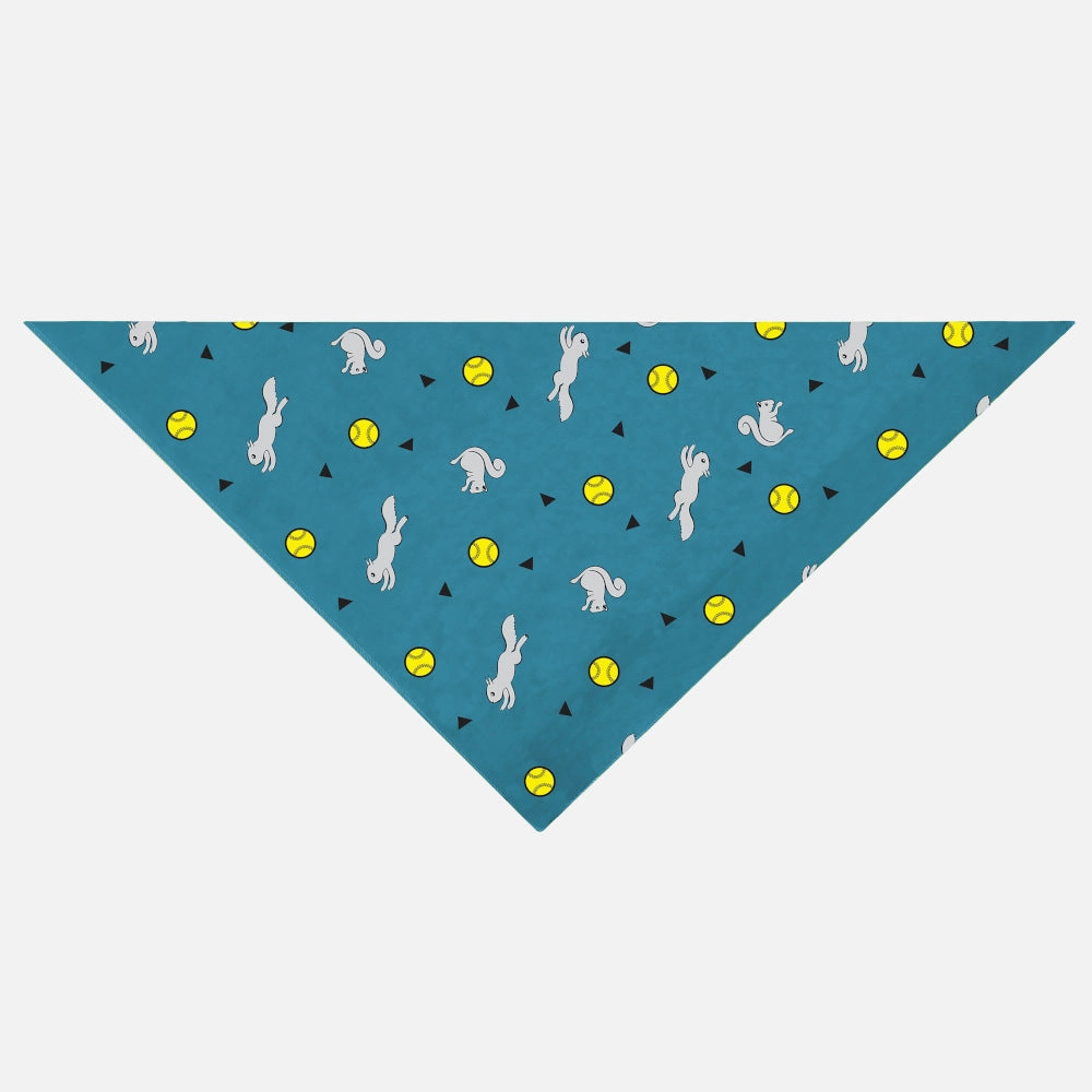 Insect Shield Ball & Squirrel Flea & Tick Bandana For Dogs (Teal)