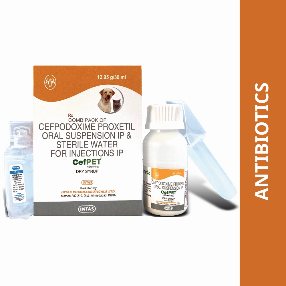 Intas Cefpet Dry Syrup (Cefpodoxime Proxetil) for Dogs and Cats (30ml)