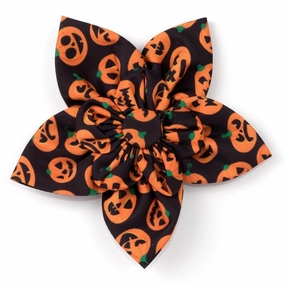 Jack-O-Lantern Dog Collar Flower treats for dogs dog biscuits dog reward treats organic dog snacks natural dog biscuits