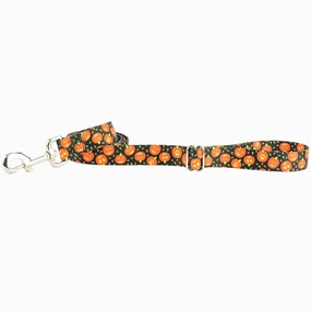Jack O Lantern EarthStyle Dog Leash treats for dogs dog biscuits dog reward treats organic dog snacks natural dog biscuits