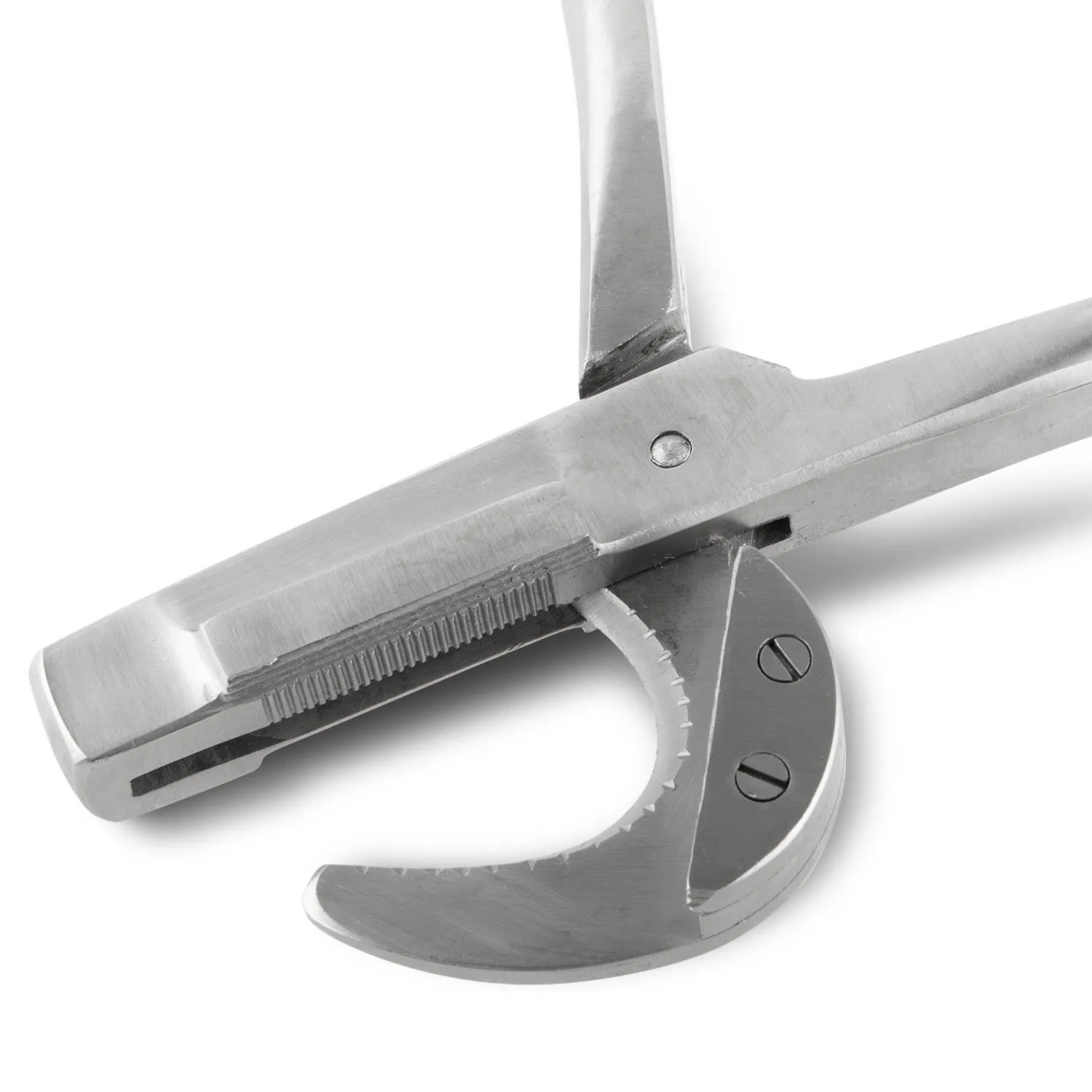 Jeffers Double Crush Emasculator in Stainless Steel, 9" or 12"