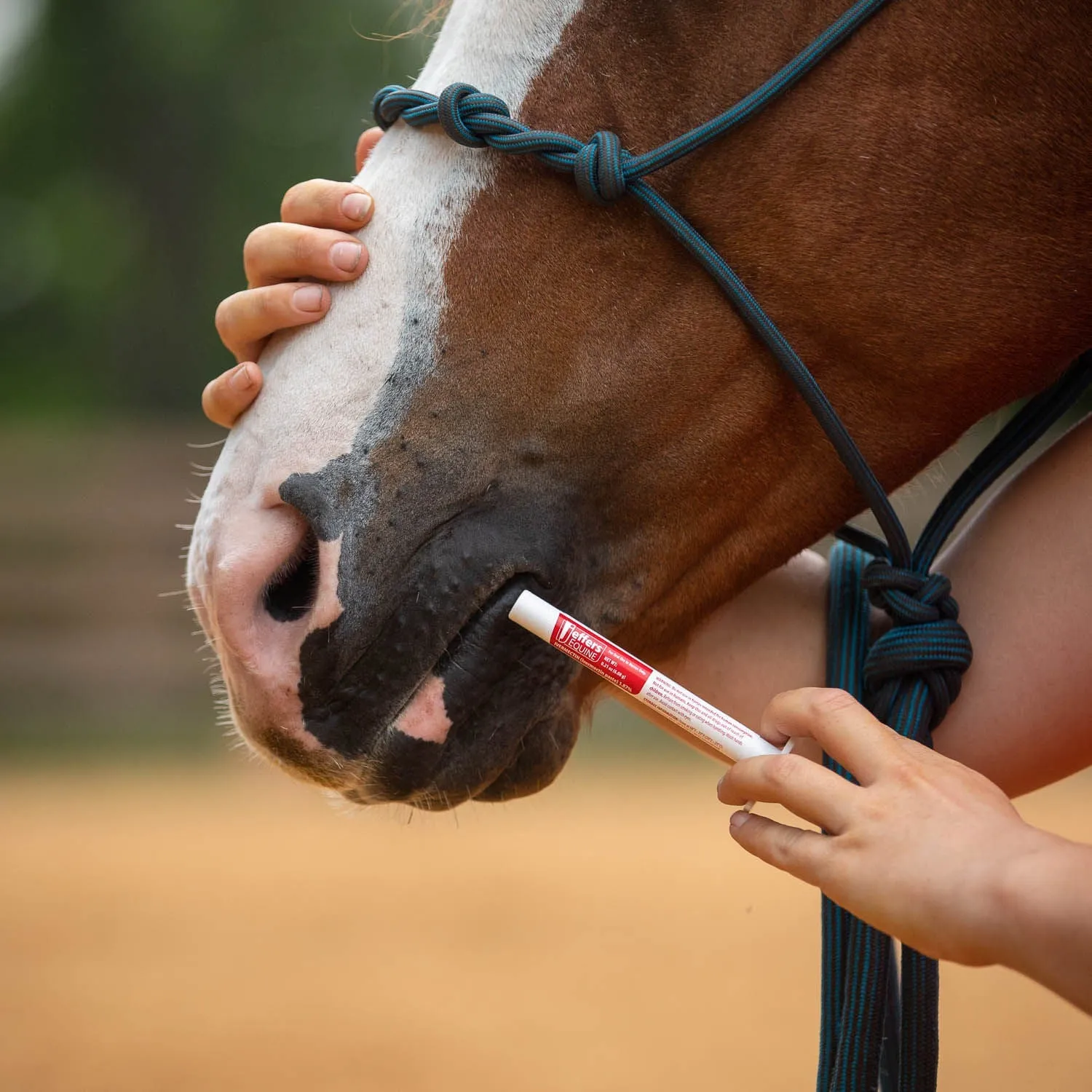 Jeffers Ivermectin Horse Dewormer Gel, Apple Flavored