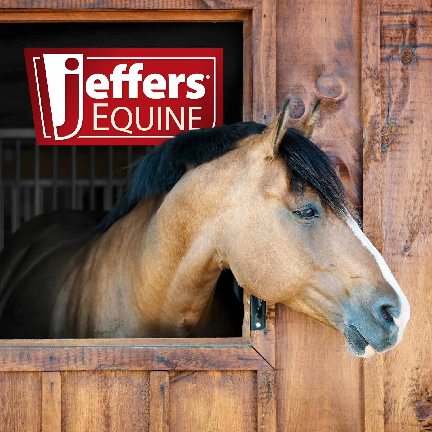 Jeffers Manure & Bedding Fork (& Replacement Heads)