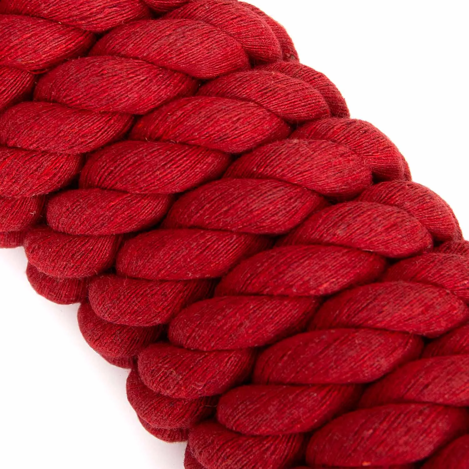 Jeffers Solid Cotton Horse Lead Ropes with Brass Bolt Snap, 10' L