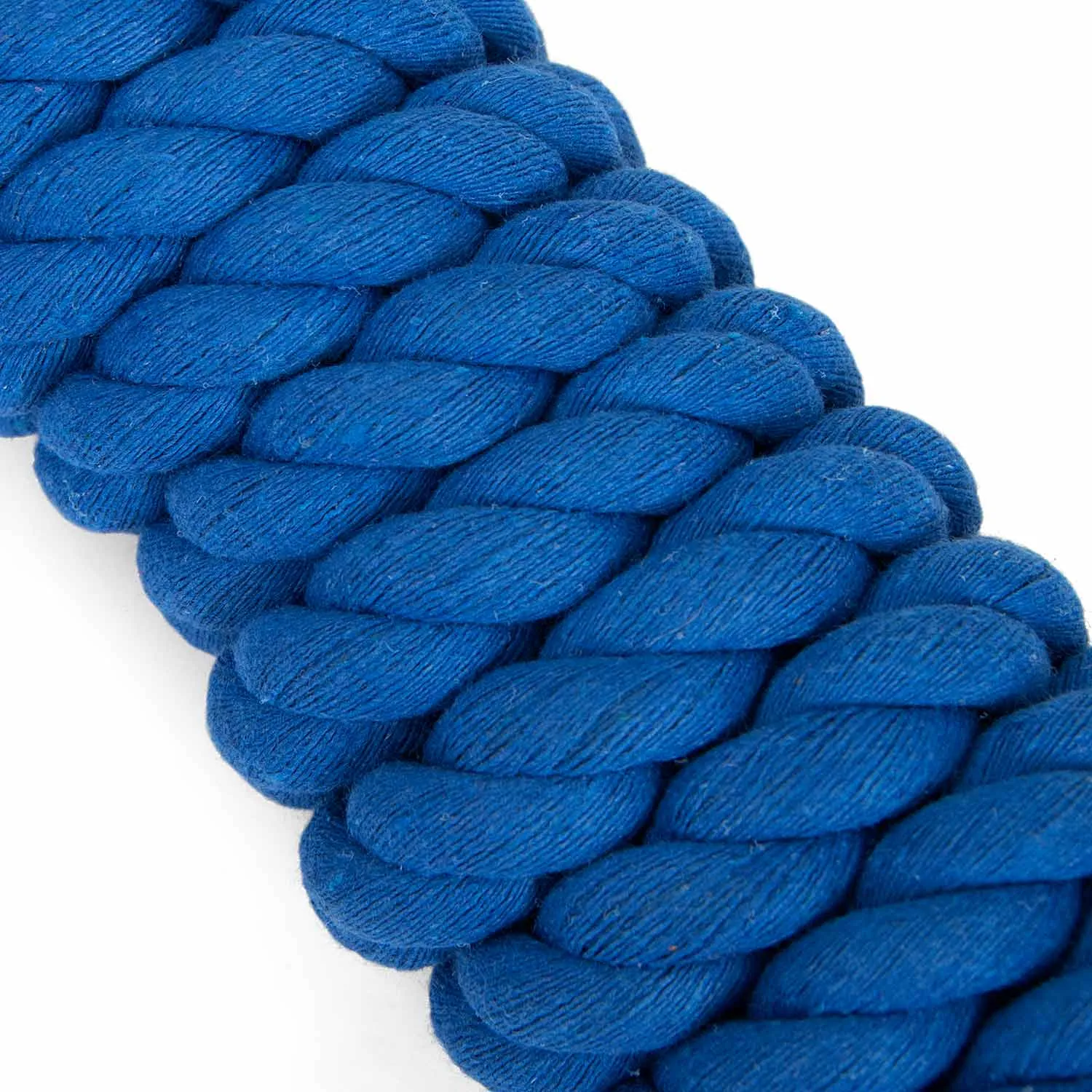 Jeffers Solid Cotton Horse Lead Ropes with Brass Bolt Snap, 10' L