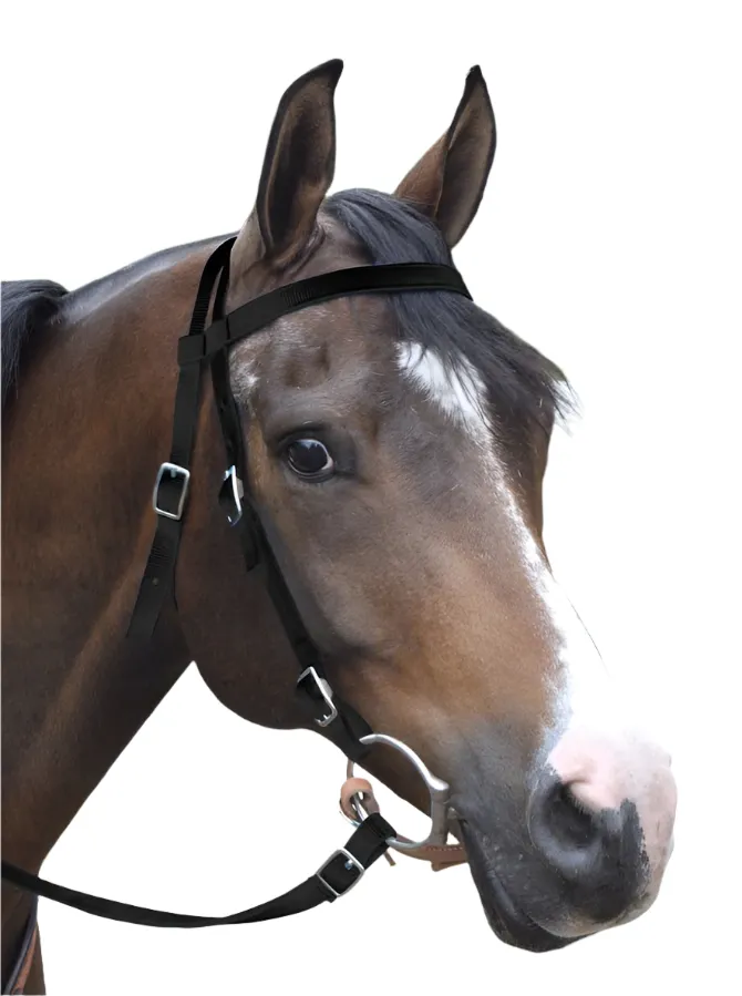 Jeffers Western Nylon Horse Bridle with 6' Split Reins Set