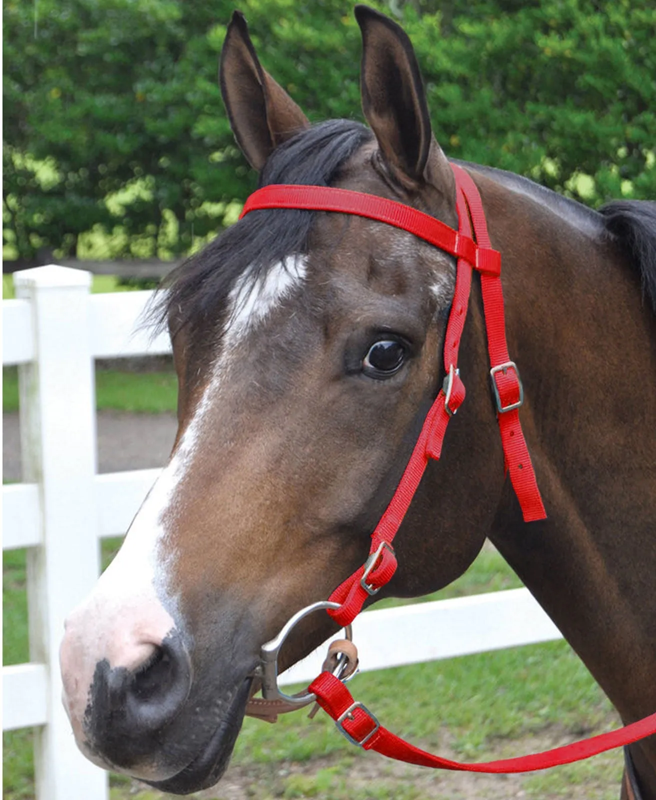 Jeffers Western Nylon Horse Bridle with 6' Split Reins Set