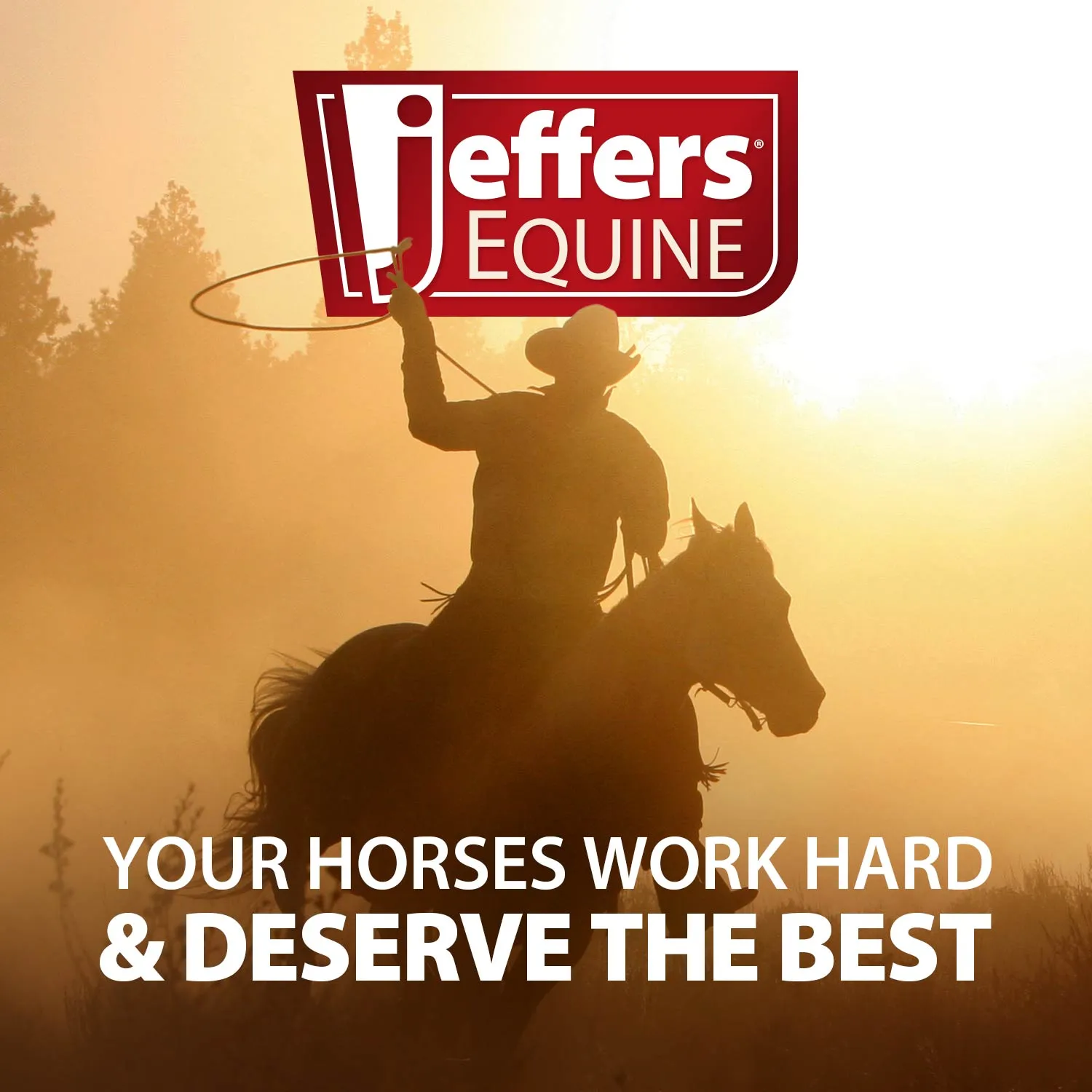 Jeffers Western Nylon Horse Bridle with 6' Split Reins Set