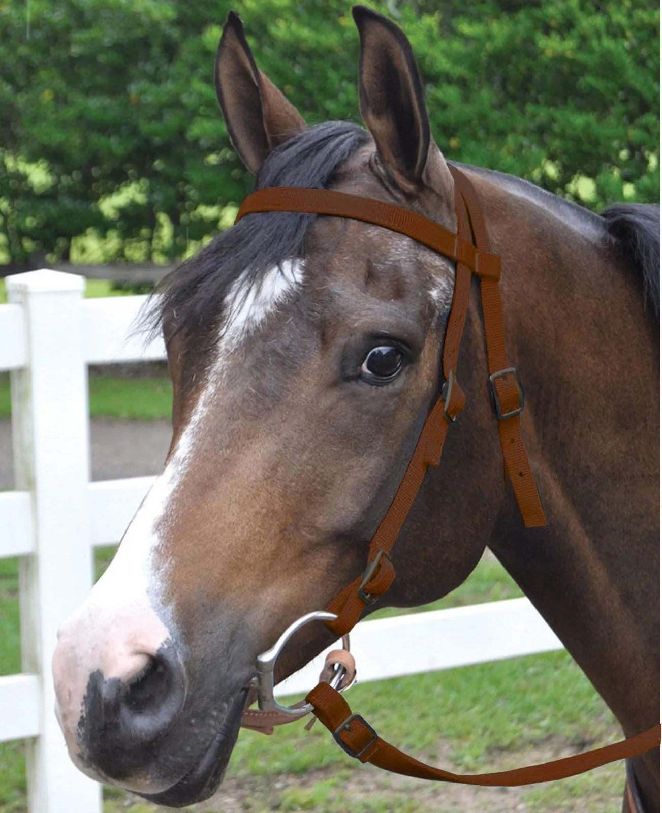 Jeffers Western Nylon Horse Bridle with 6' Split Reins Set