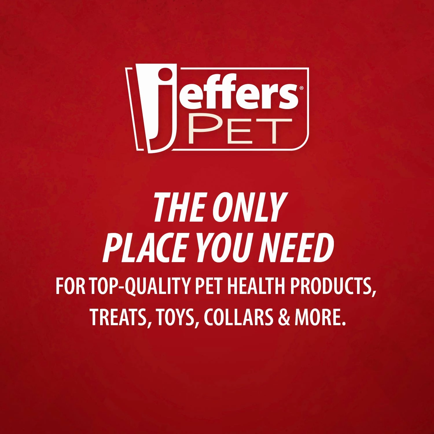 Jeffers All-Purpose Coconut Oil Shampoo for Dogs & Cats