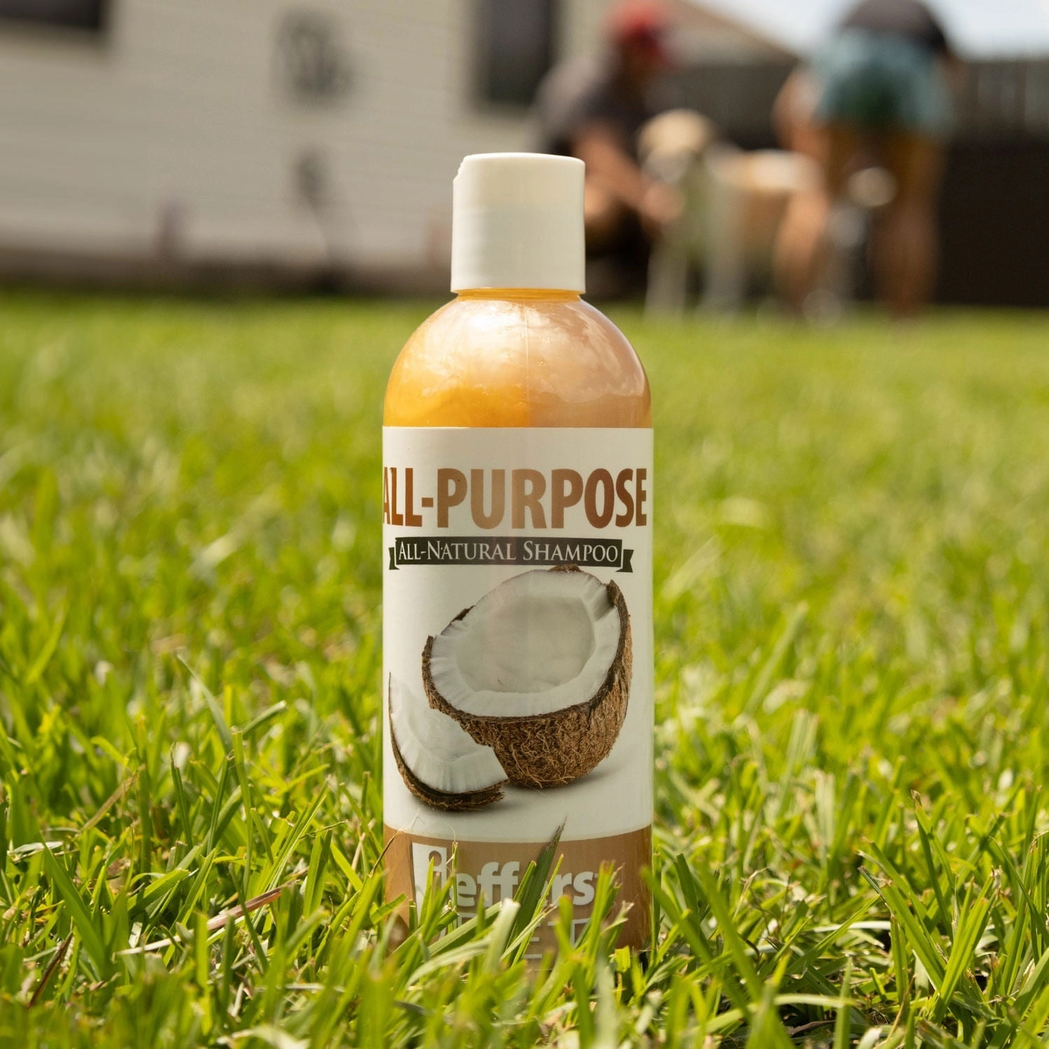 Jeffers All-Purpose Coconut Oil Shampoo for Dogs & Cats