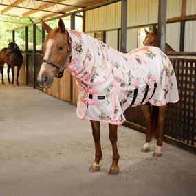 Jeffers Expression Softmesh Combo Neck Horse Fly Sheet pet shampoo pet brush pet wipes pet scissors pets comb
