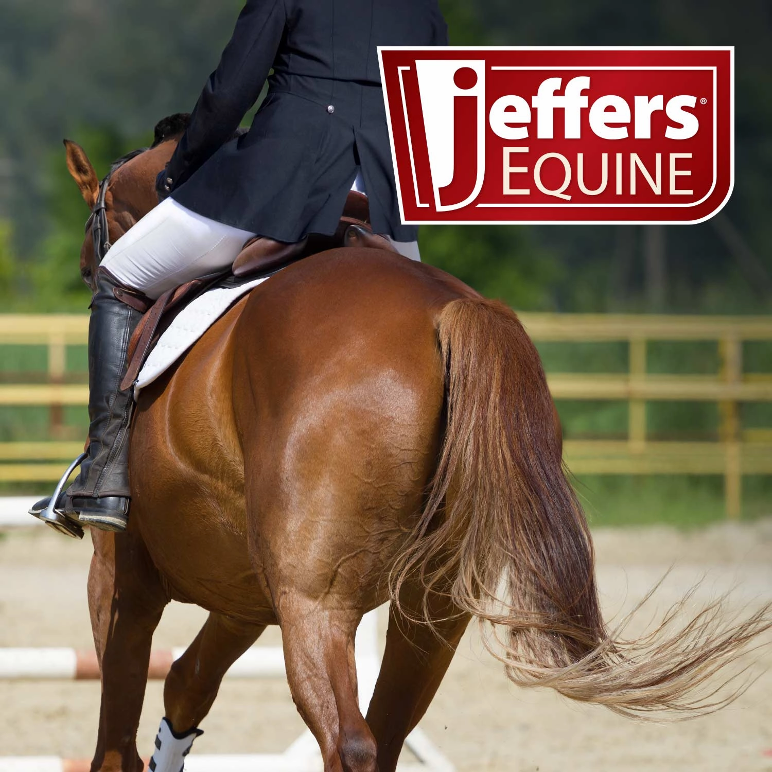 Jeffers Horse Health Records