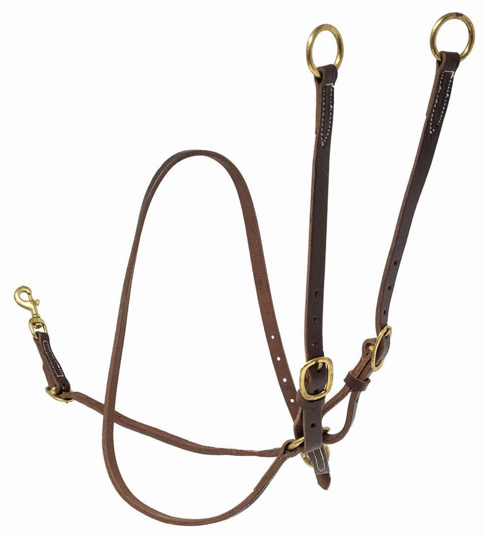 Jeffers Poplar Head Premium Oiled Harness Leather Training Martingale cat fur care cat grooming tools cat deshedding brush cat bath kit cat nail trimmer