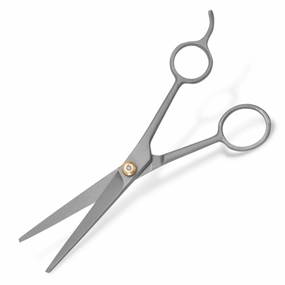 Jeffers Professional Stainless Steel Pet Grooming Shears cat grooming cat shampoo cat conditioner cat comb cat grooming glove