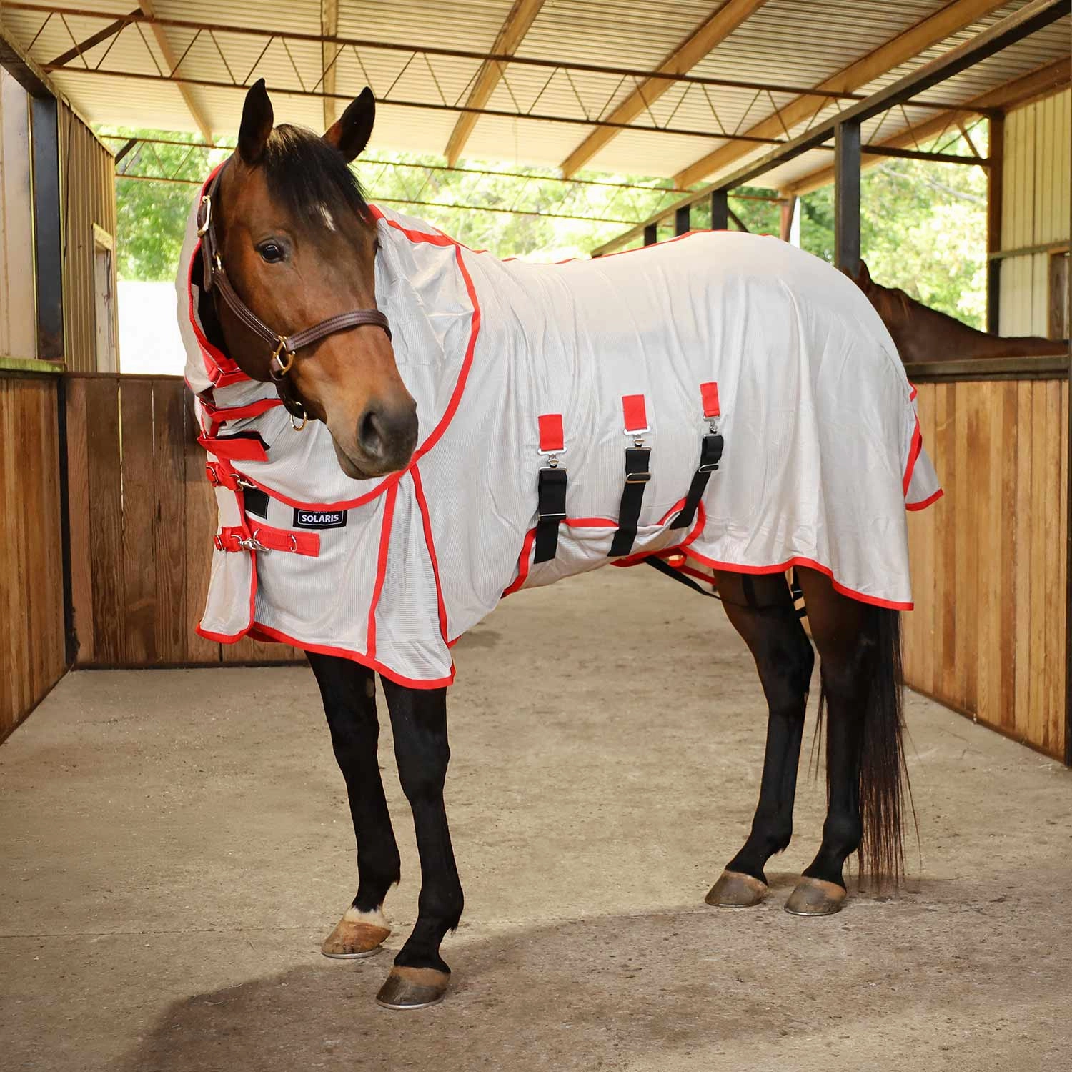 Jeffers Solaris Horse Fly Sheet with Detachable Neck, Grey & Red pet shampoo pet brush pet wipes pet scissors pets comb