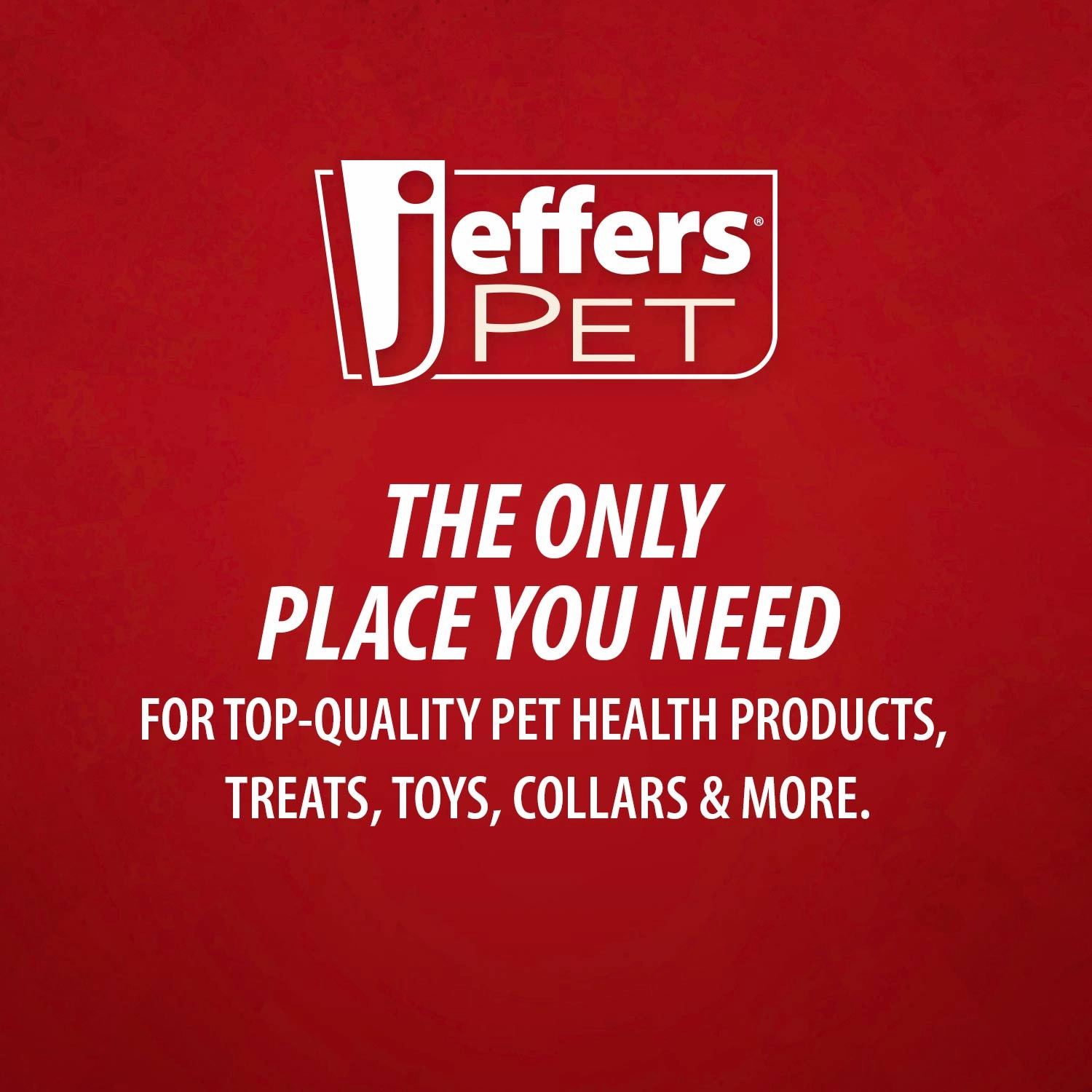 Jeffers X-O Pet Odor Neutralizer Plus   Cleaner Concentrate