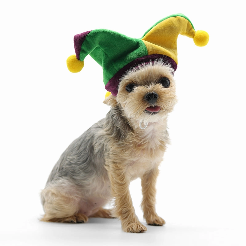 Joker Dog Hat