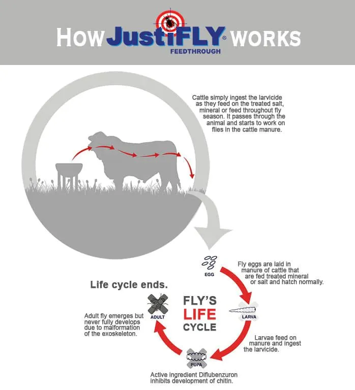 JustiFly Feedthrough 3%, 360g Pack