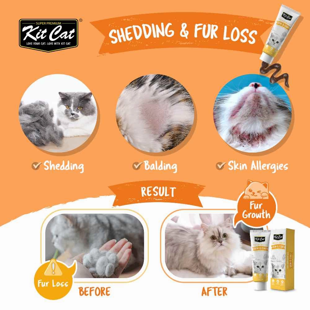 Kit Cat Skin & Coat Daily Nutritional Supplement Gel For Cats 120g