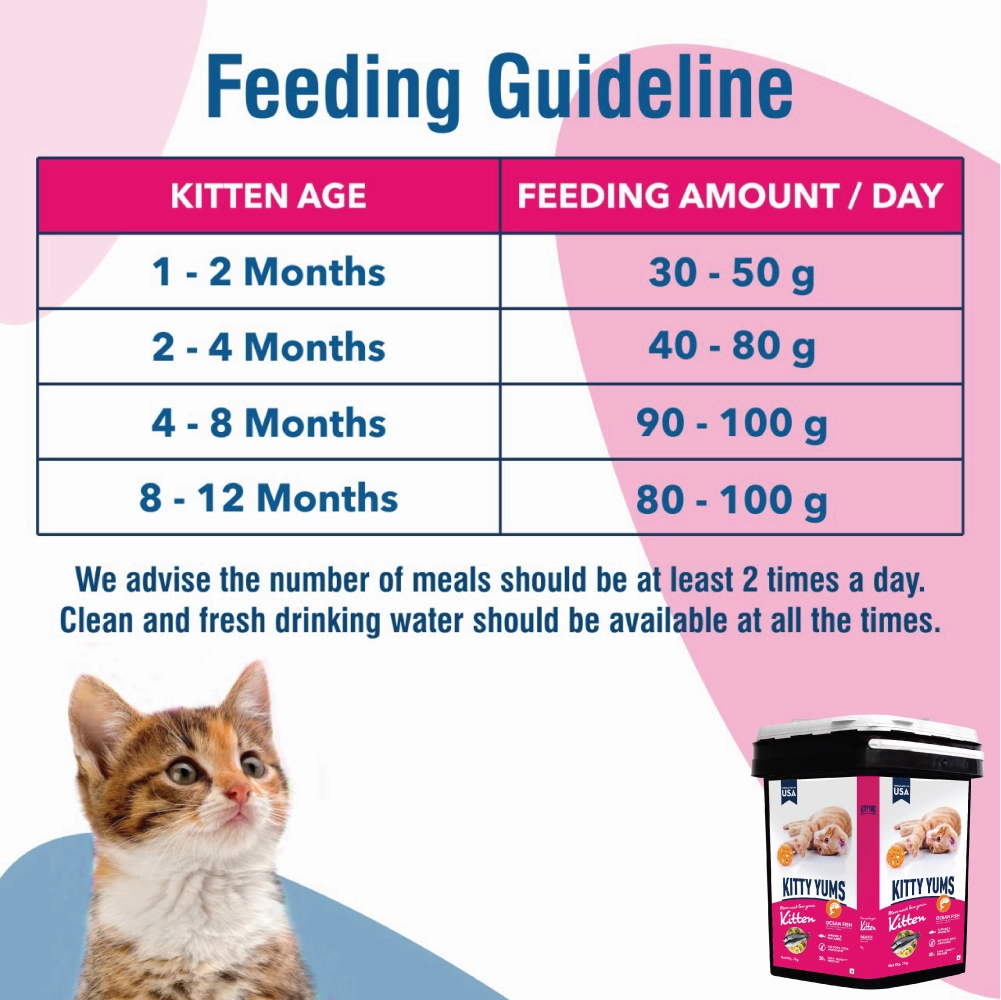 Kitty Yums Ocean Fish Kitten Dry Food, Me O Creamy Chicken Liver Cats Treats Combo